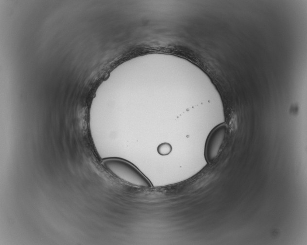 X0000113171156200909251410