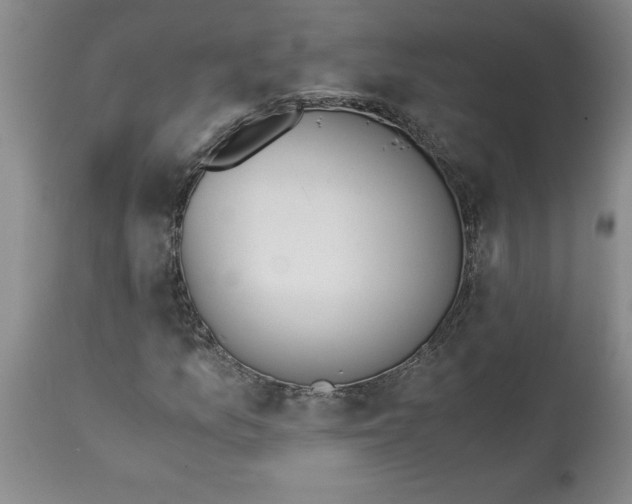 X0000113171157200909251410