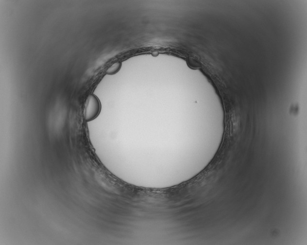 X0000113171158200909251410