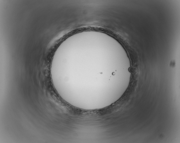 X0000113171159200909251410