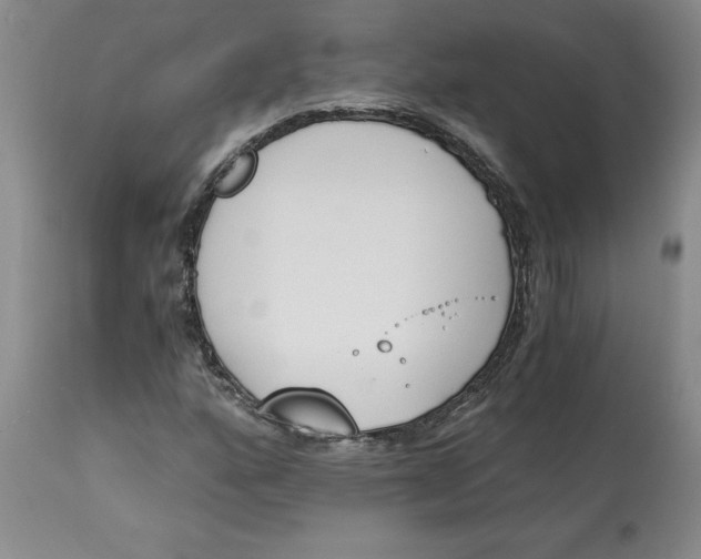 X0000113171160200909251410