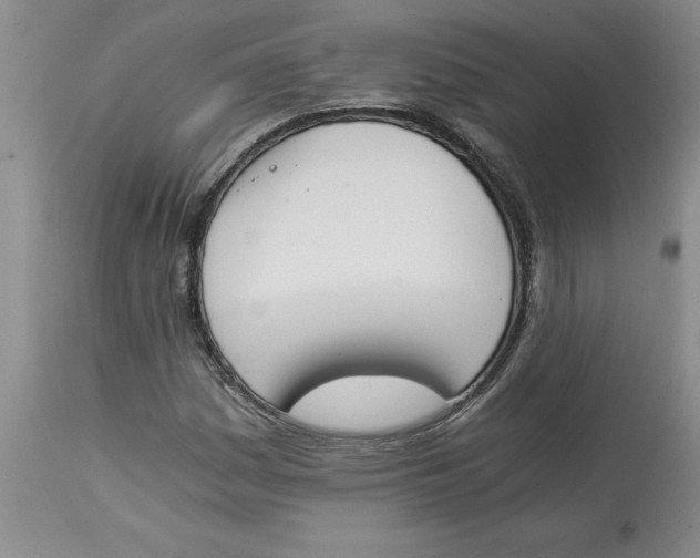 X0000113171161200909251410