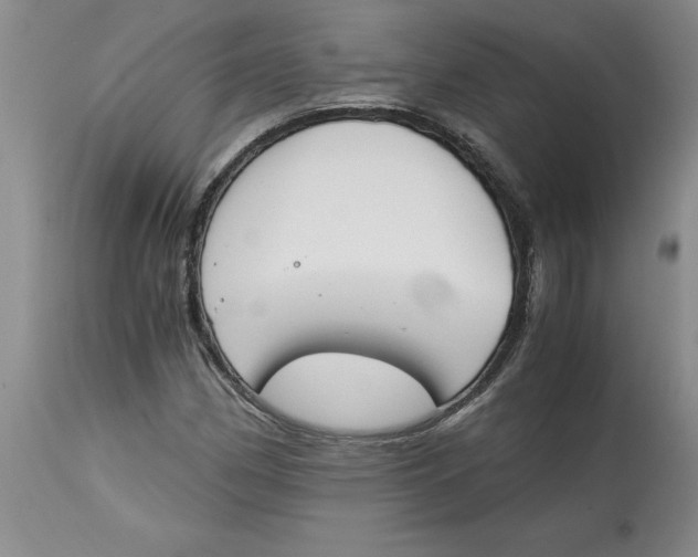 X0000113171162200909251410