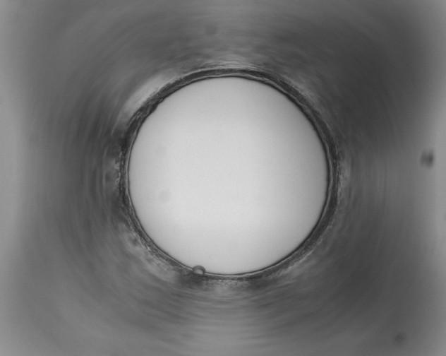 X0000113171163200909251410