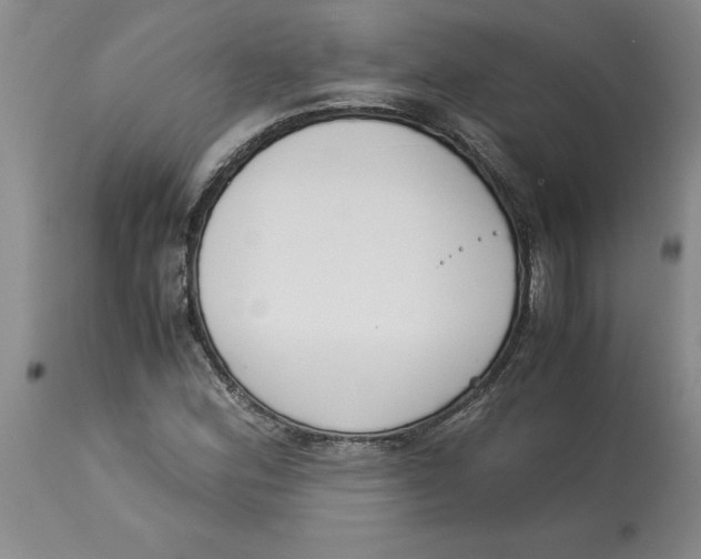 X0000113171164200909251410