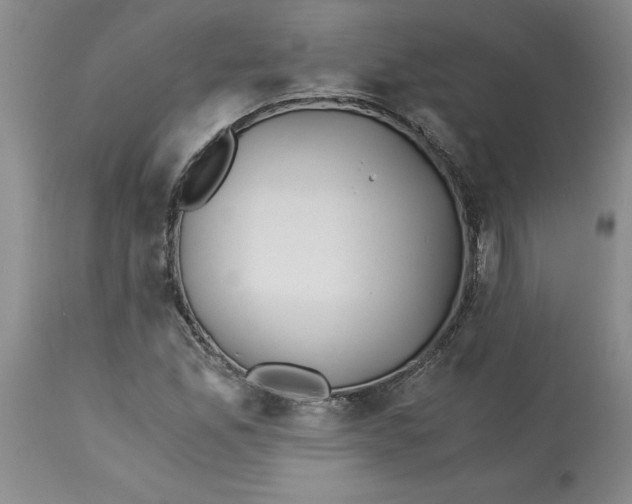 X0000113171165200909251410