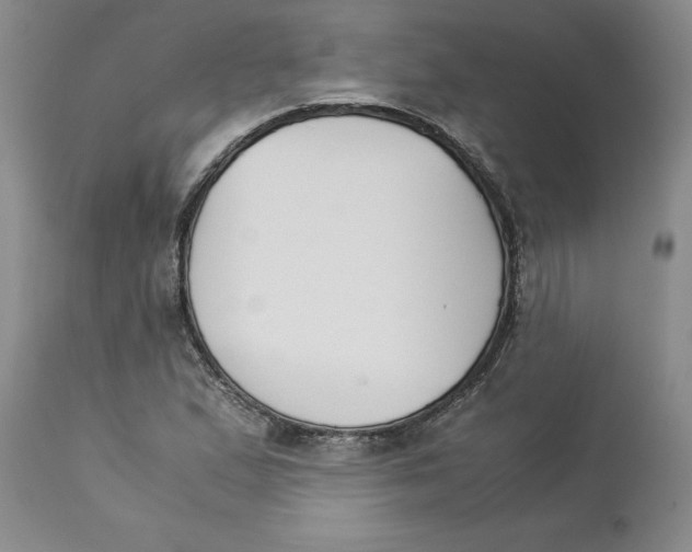 X0000113171167200909251410