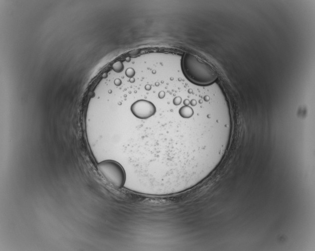 X0000113171168200909251410