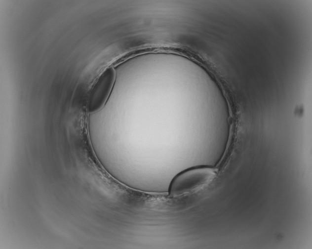 X0000113171169200909251410