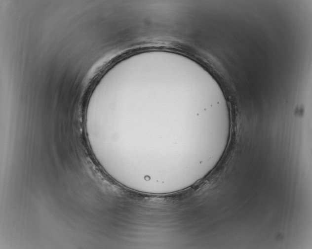 X0000113171172200909251410