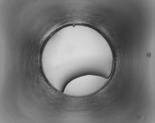 X0000113171173200909251410