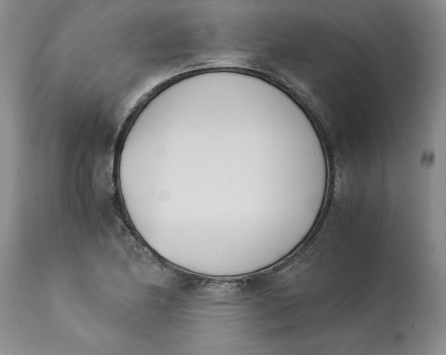 X0000113171174200909251410