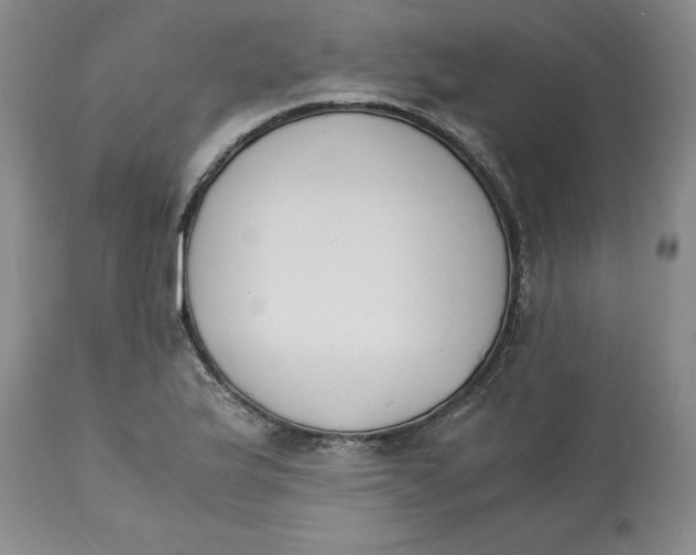 X0000113171175200909251410