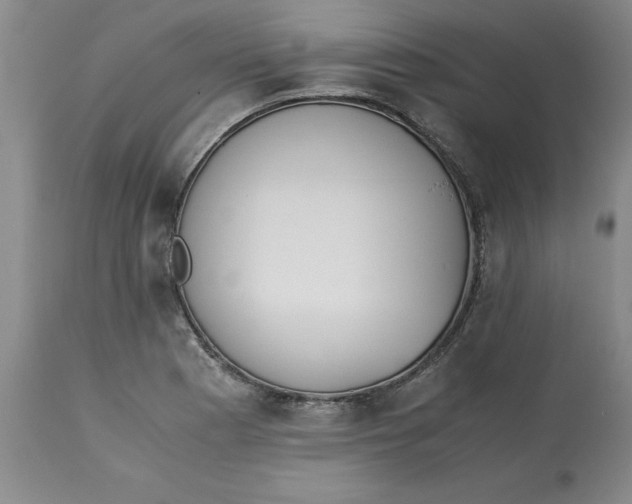 X0000113171177200909251410