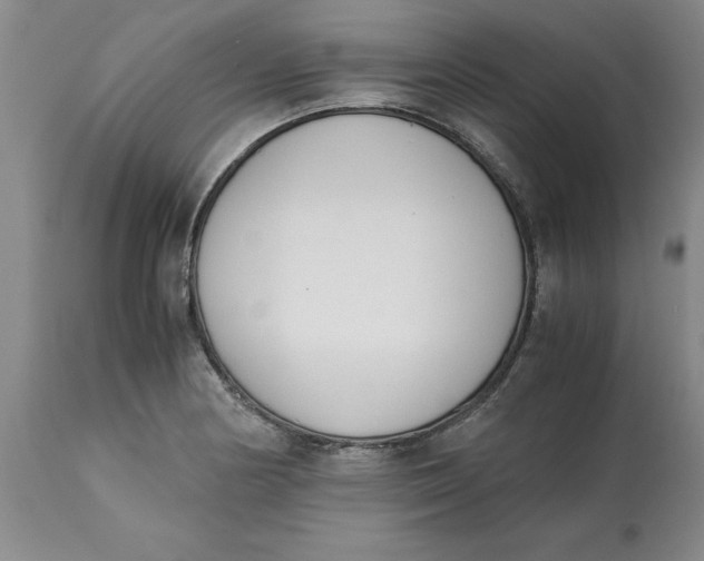 X0000113171178200909251410