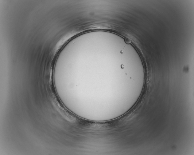 X0000113171179200909251410