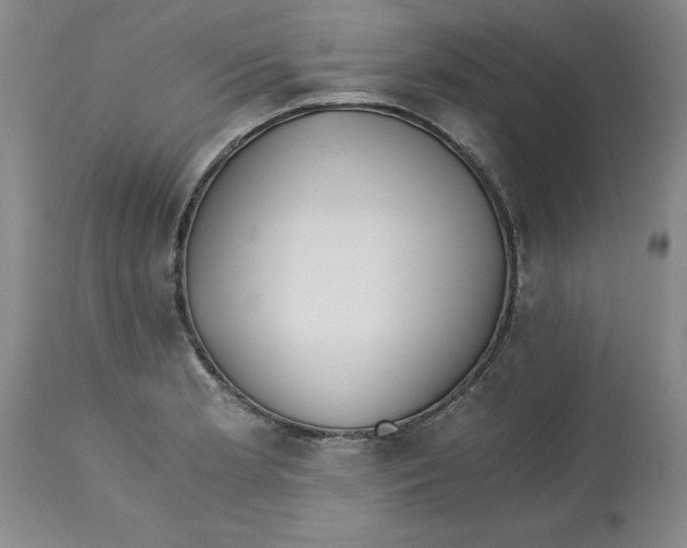 X0000113171181200909251410