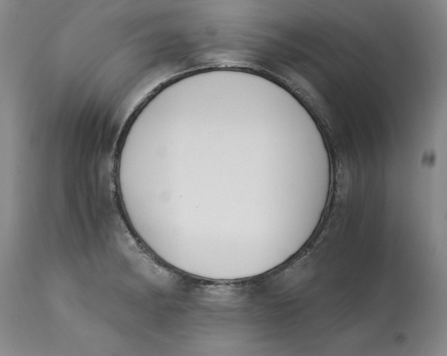 X0000113171182200909251410