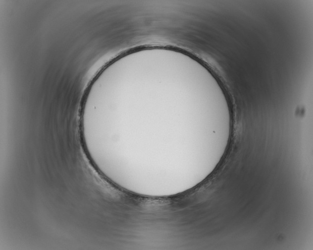 X0000113171183200909251410