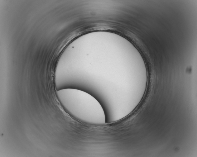 X0000113171185200909251410