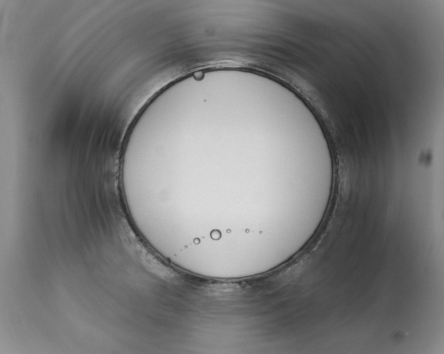 X0000113171186200909251410