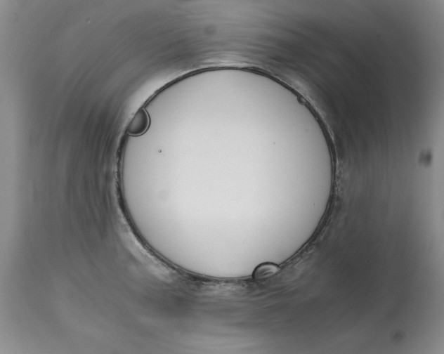 X0000113171187200909251410