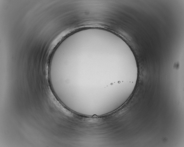 X0000113171188200909251410