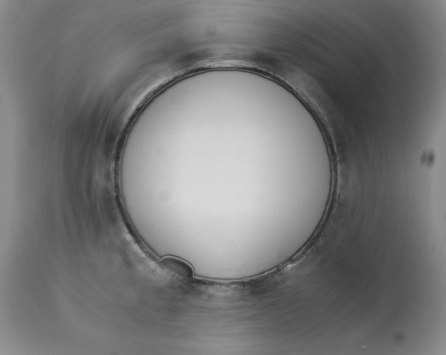 X0000113171189200909251410