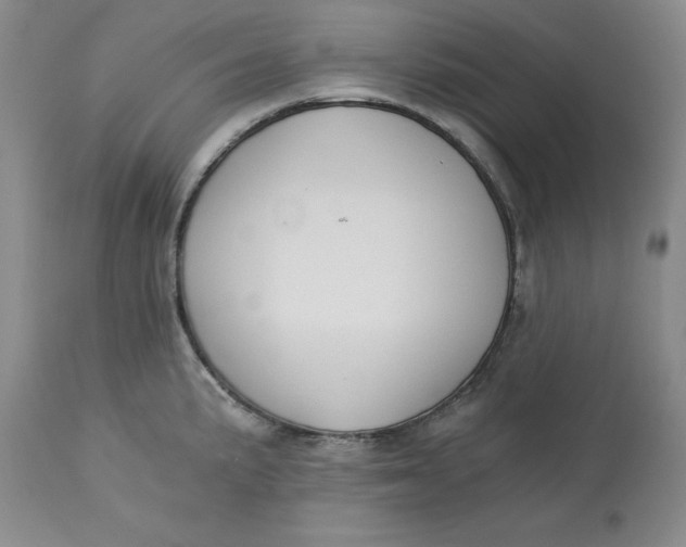 X0000113171191200909251410