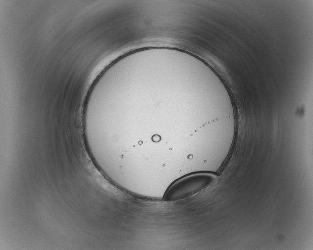 X0000113171192200909251410