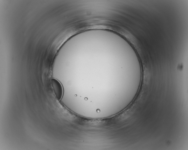 X0000113171193200909251410