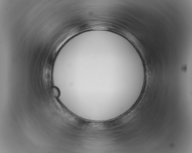 X0000113171194200909251410