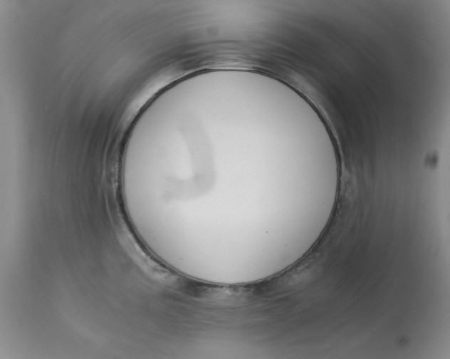 X0000113171195200909251410