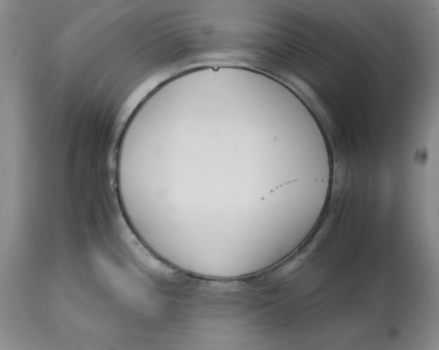 X0000113171196200909251410