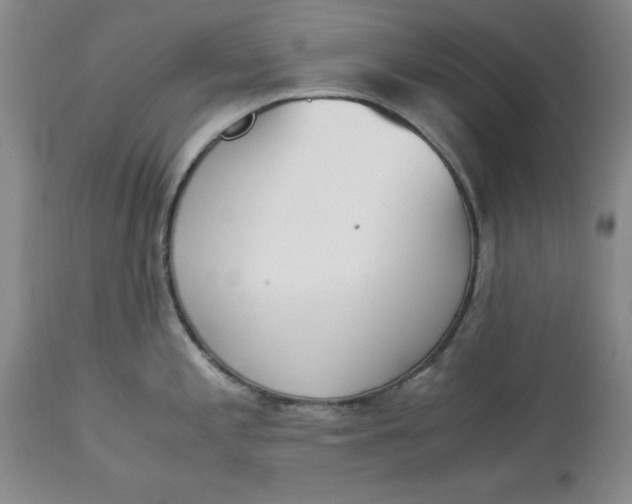 X0000113171197200909251410