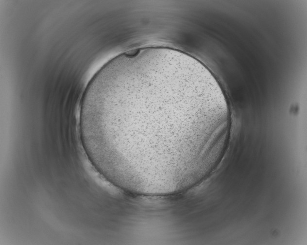 X0000113171198200909251410