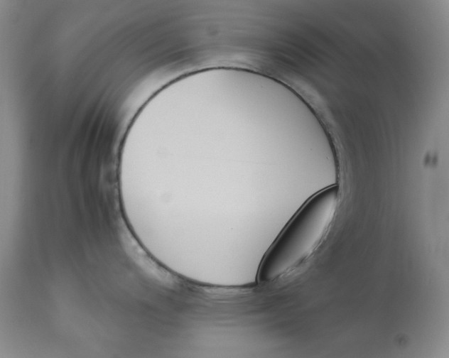 X0000113171200200909251410