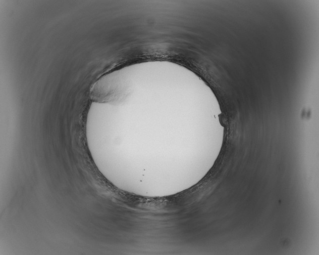 X0000113171201200909251409