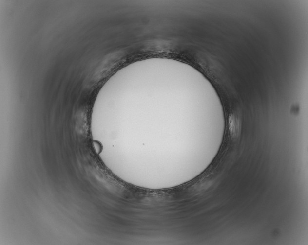 X0000113171203200909251409