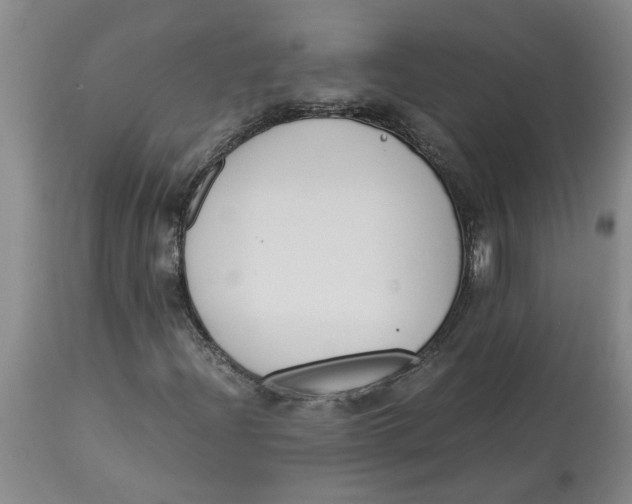 X0000113171204200909251409