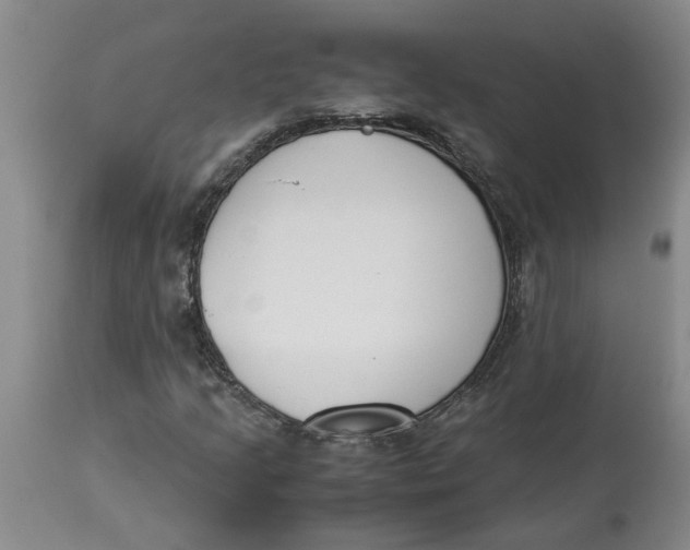 X0000113171205200909251409