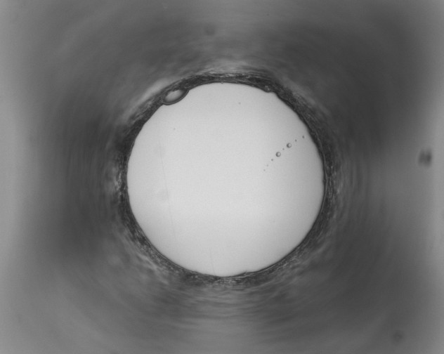 X0000113171206200909251409