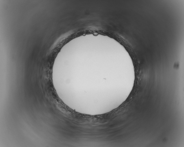 X0000113171207200909251409