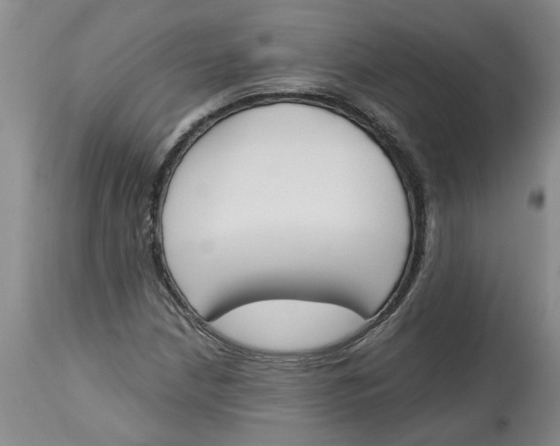 X0000113171210200909251409