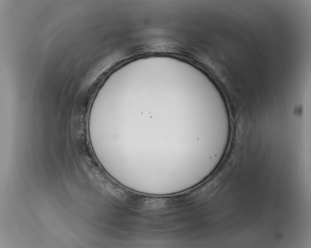 X0000113171211200909251409