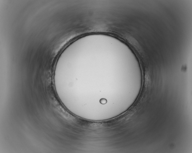 X0000113171212200909251409