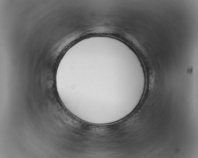 X0000113171213200909251409