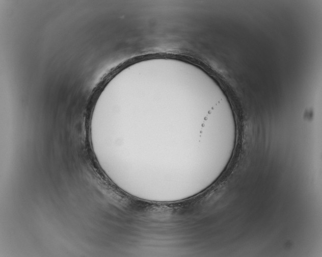 X0000113171214200909251409