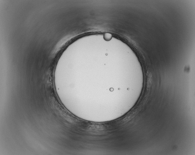 X0000113171215200909251409