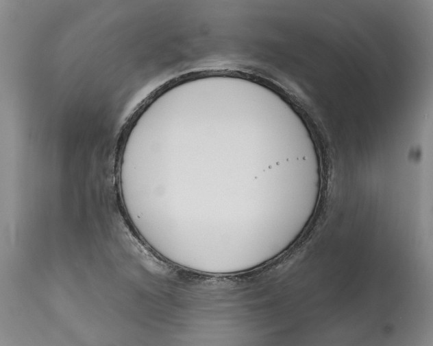 X0000113171216200909251409